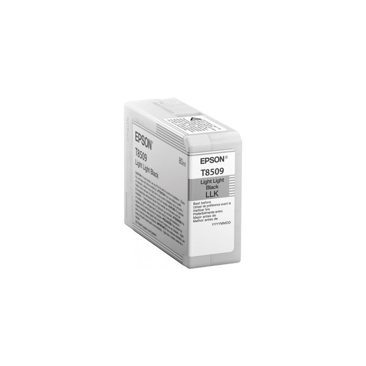 Epson Singlepack Light Light Black T850900