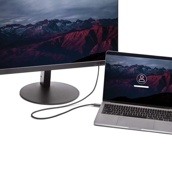 StarTech.com 2m USB-C to DVI Cable - 1920 x 1200 - Black