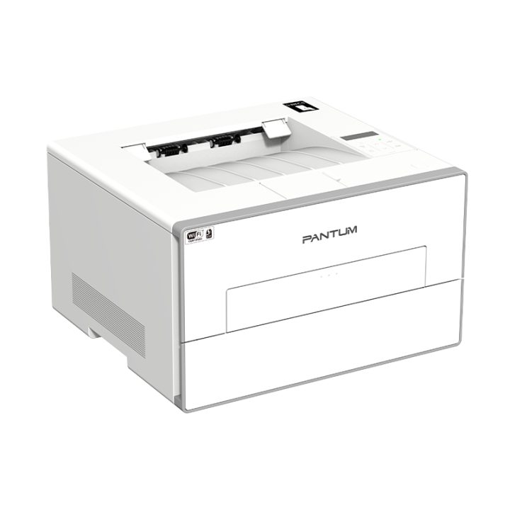 Pantum BP4200DW Monochrome Duplex Laser Printer