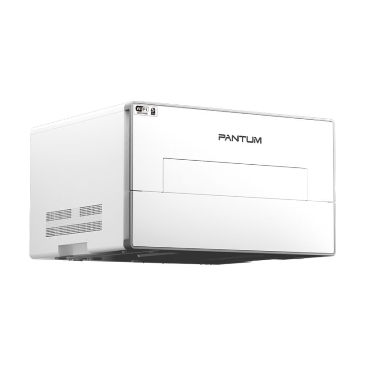 Pantum BP4200DW Monochrome Duplex Laser Printer