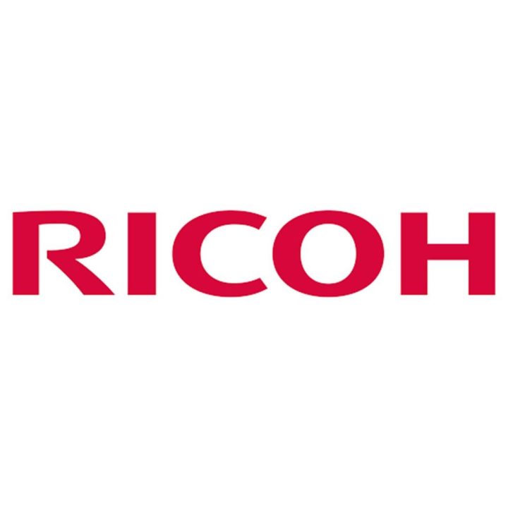 Esponja absorbente Ricoh ri 100 24 unidades (515893)