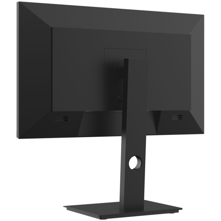 Dahua Technology LM24-P301A 23,8" QHD IPS