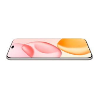 Honor 400 Pro 512 GB 12 GB RAM Gray