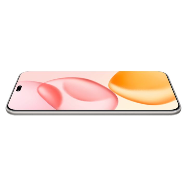 Honor 400 Pro 512 GB 12 GB RAM Gray