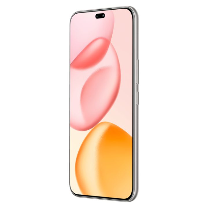 Honor 400 Pro 512 GB 12 GB RAM Cinzento