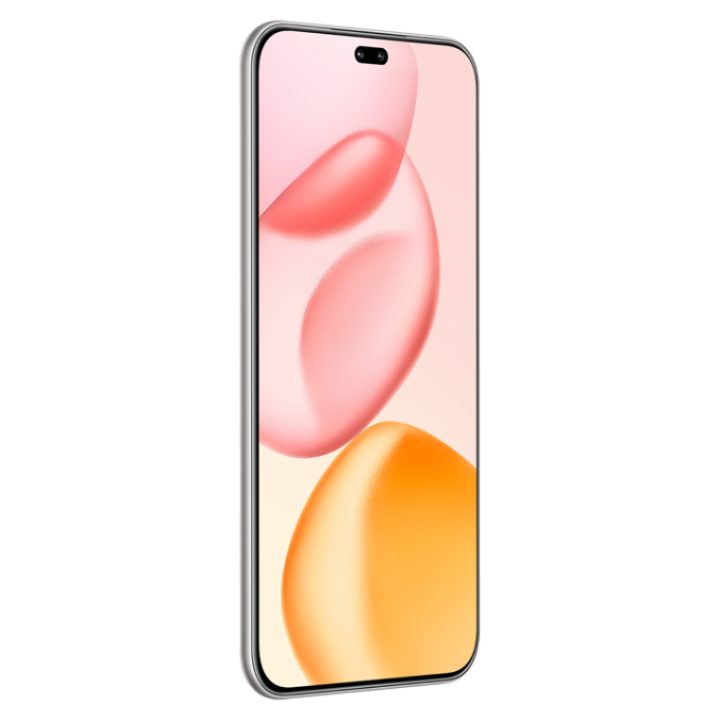 Honor 400 Pro 512 GB 12 GB RAM Gray