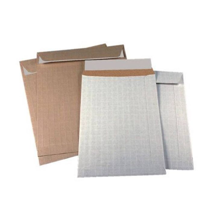 Box of 100 Extended Folio Bags (260x360) Kraft, 120 gsm, Self-Seal…
