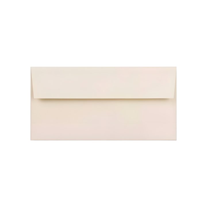 Box of 250 DL Envelopes (110x220) Cream Laid Paper 120 gsm Self-Seal…