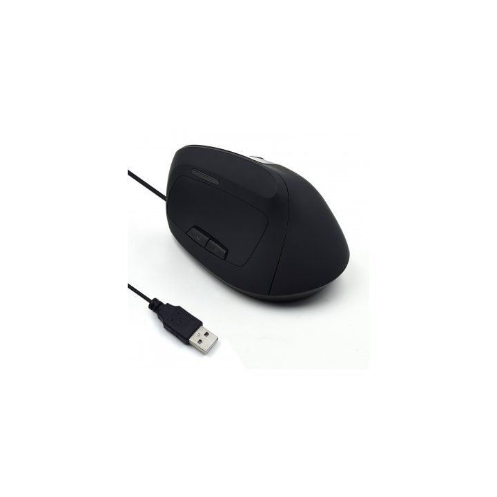 Ewent EW3157 rato de escritório para mão direita USB tipo A Óptico…
