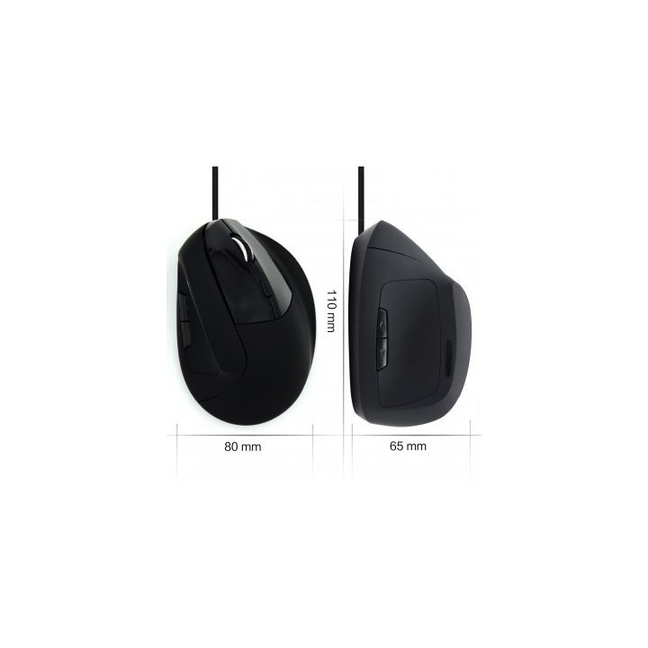 Ewent EW3157 Right-Handed Office Mouse USB Type-A Optical 1800 DPI