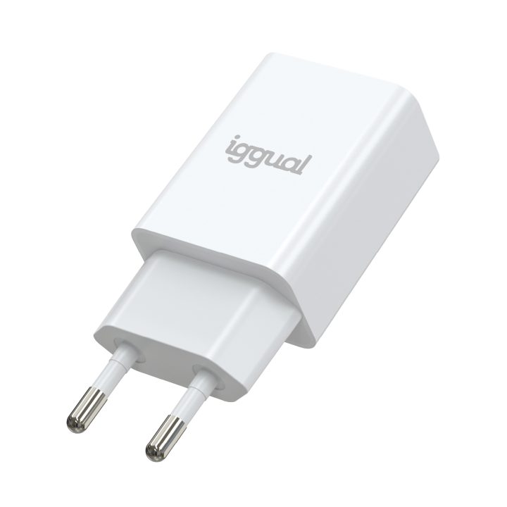 iggual Carregador de parede 1xUSB 5V/2A (10W)