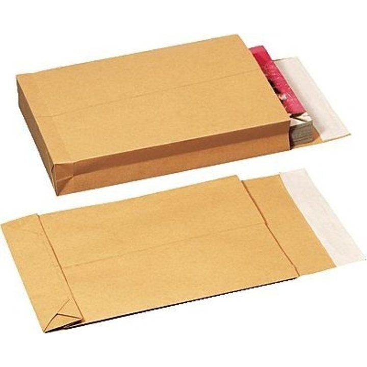 Caixa com 250 sacos din b4 folio (250X353) saco com fole 250X353X30…
