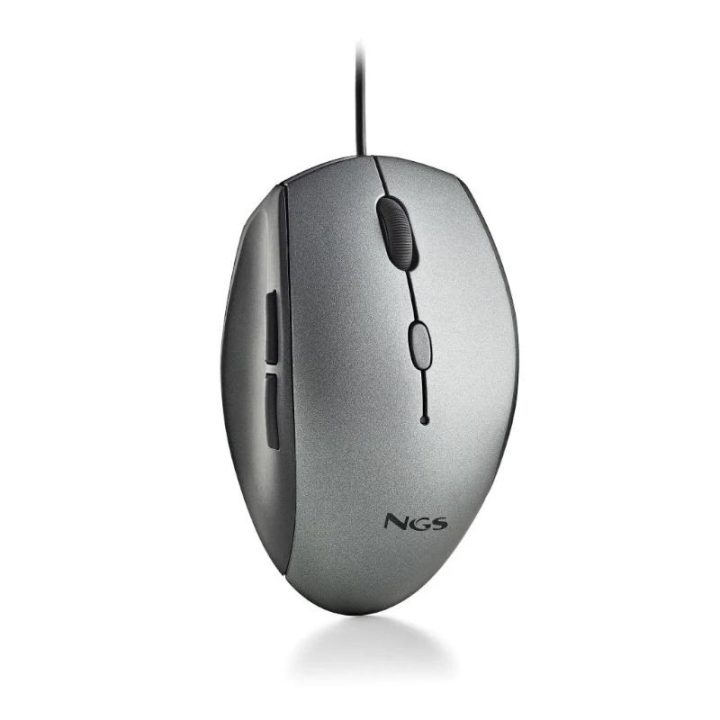 Rato NGS MOTH GRAY