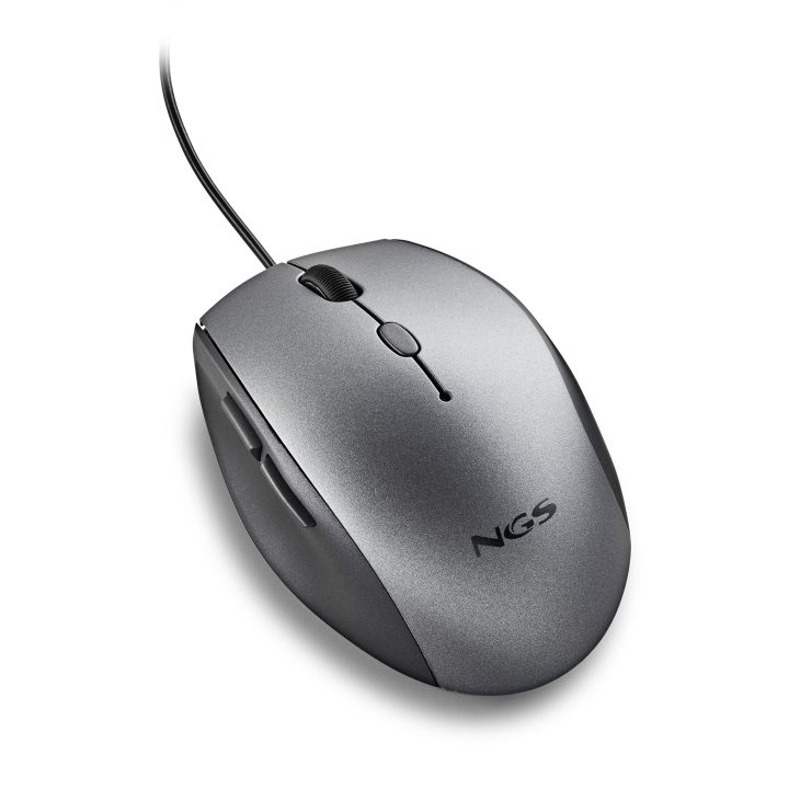Rato NGS MOTH GRAY
