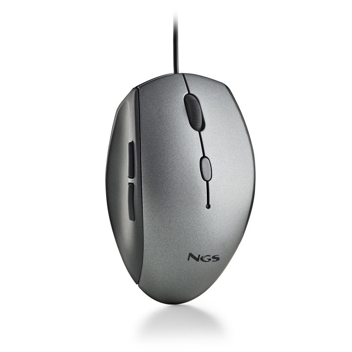 Rato NGS MOTH GRAY