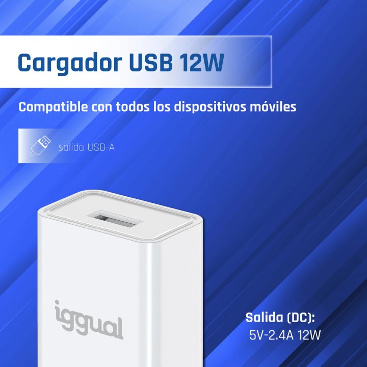 iggual Carregador de parede 1xUSB 5V/2.4A (12W)