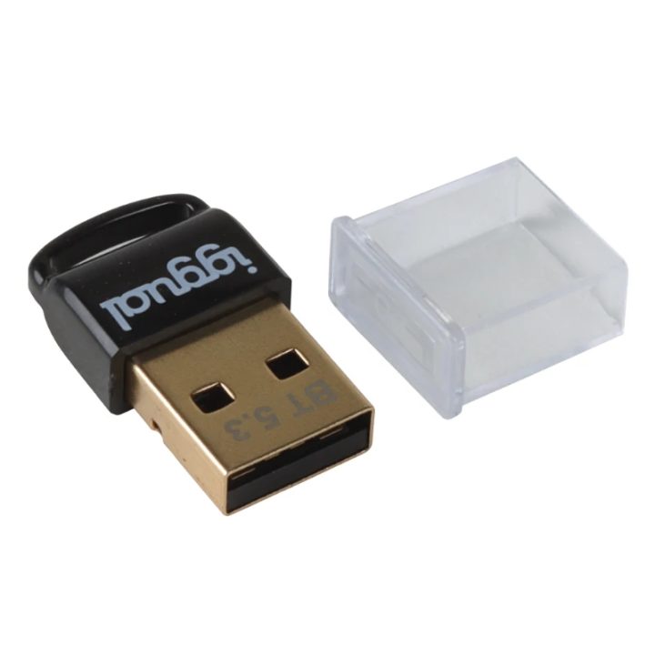 iggual USB 2.0 Mini Bluetooth 5.3 Adapter