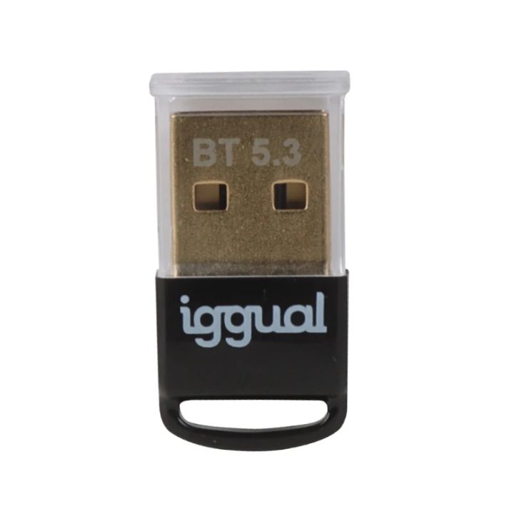 iggual USB 2.0 Mini Bluetooth 5.3 Adapter