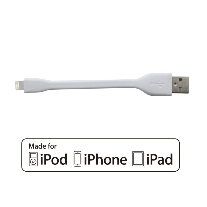 Phoenix Technologies Cable Phoenix USB to Lightning Apple MFi…