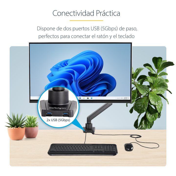 StarTech.com Braço de Secretária para Ecrã - Suporte VESA para…