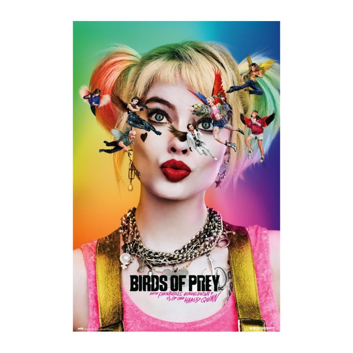 Erik Group Poster Birds of Prey Dazed and Confused Harley Quinn…