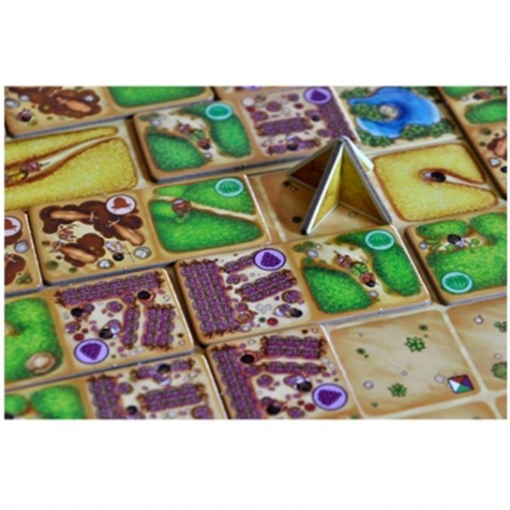 Fertility Board Game in Spanish