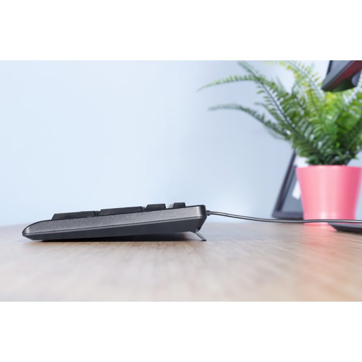 Trust TK-150 Universal USB QWERTY Spanish Keyboard Black