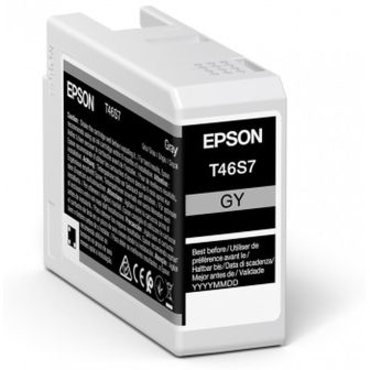 Epson UltraChrome Pro cartucho de tinta 1 pieza(s) Original…
