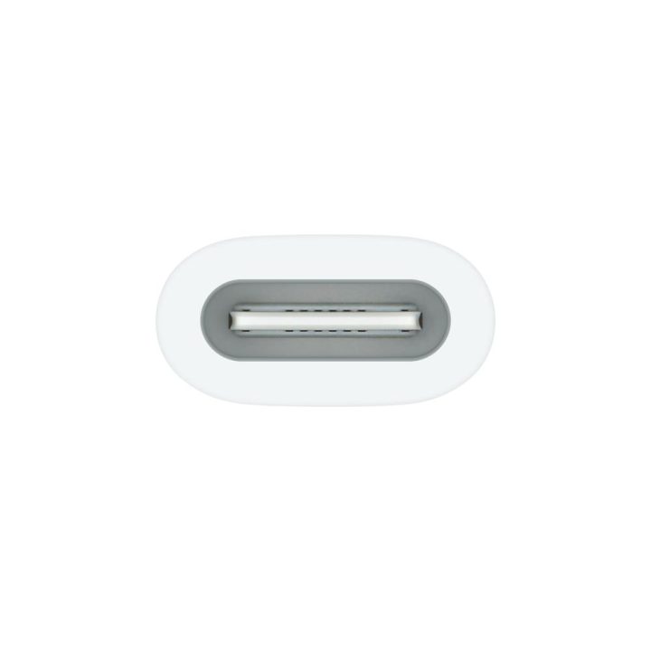 Adaptador USB-C a Apple pencil (MWML3ZM/A)