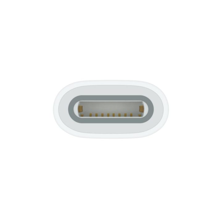 Adaptador USB-C a Apple pencil (MWML3ZM/A)