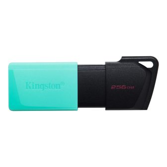 Kingston Technology DataTraveler 256GB USB3.2 Gen1 Exodia M (Preto +…
