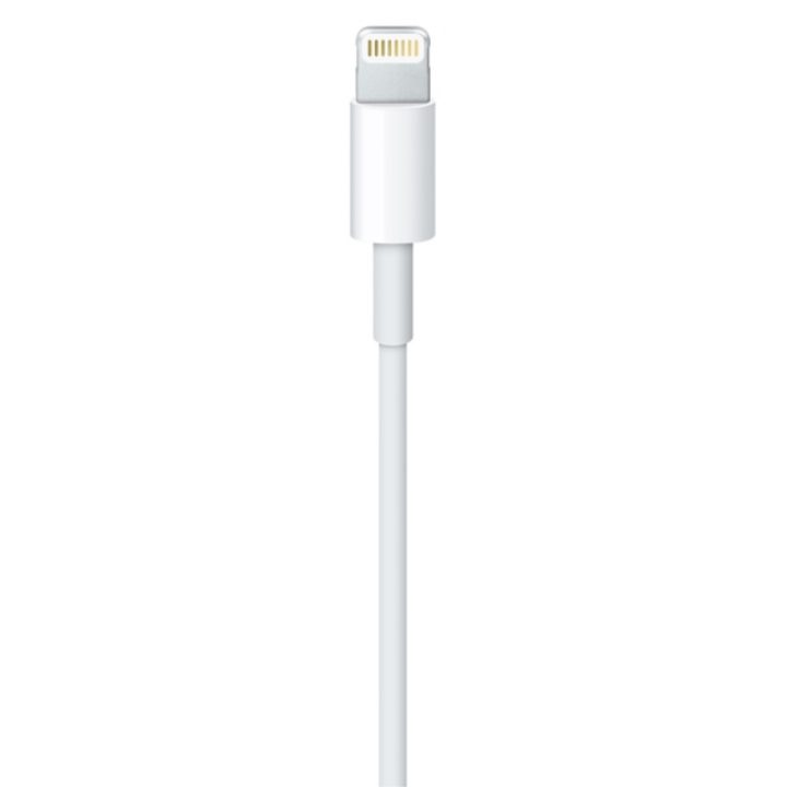 Adaptador Apple Lightning macho para USB macho 2m (MD819ZM/A)