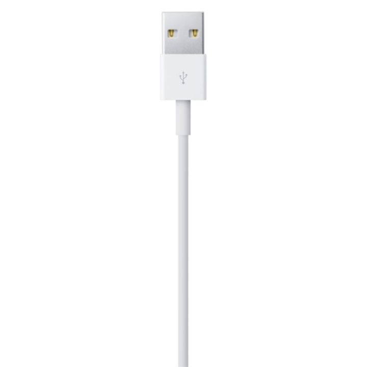 Adaptador Apple Lightning macho para USB macho 2m (MD819ZM/A)