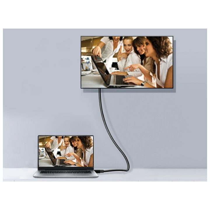 Equip 119251 Cable DisplayPort 1.4, 1,0 m, 8K/60 Hz