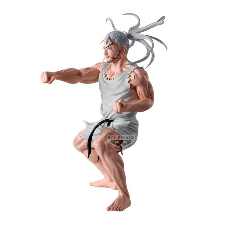 Figura Banpresto hunter×hunter hunting archives netero 18cm (PZ69615P)