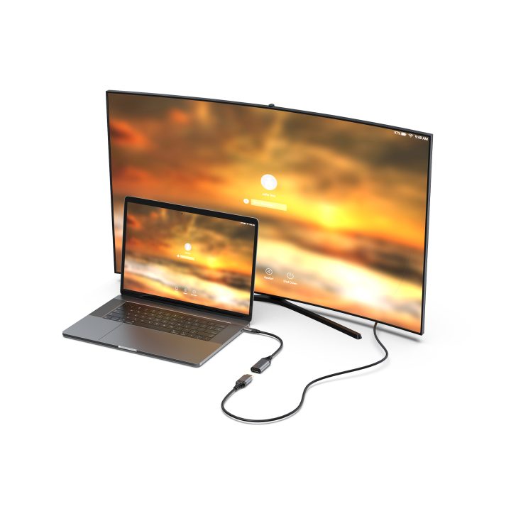 Equip 133493 USB-C to DisplayPort 1.4 Adapter, 8K/30Hz